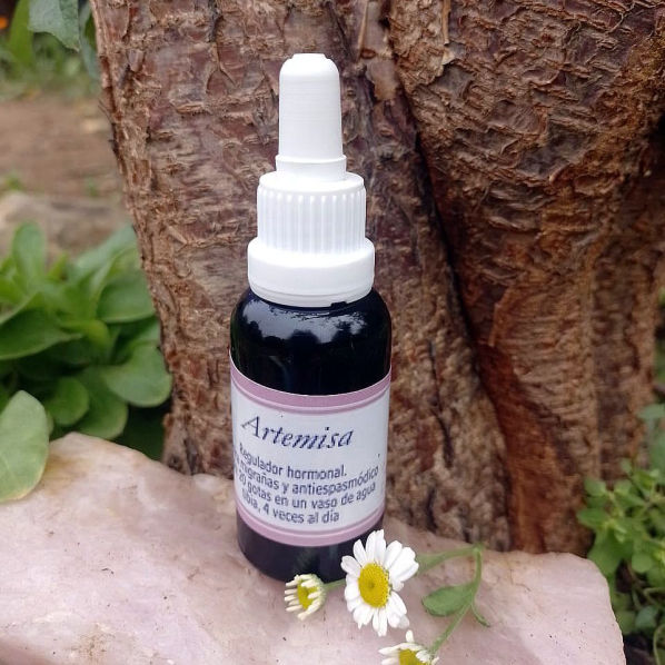 Artemisa