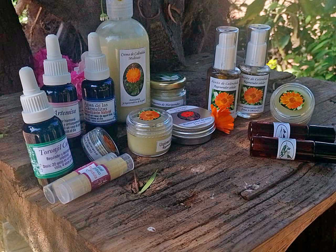 Rescatando el mágico poder de sanación de hierbas y frutos curatívos